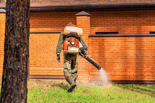 Trusted Termite Control service in Highland Acres, DE - Nex Pest Control